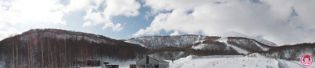 20100107_hanazono