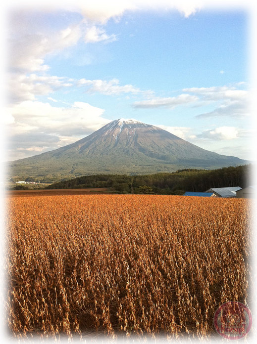 Early snow on Mt.Yotei
