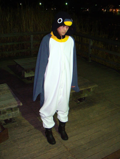 20090224_pengin_making
