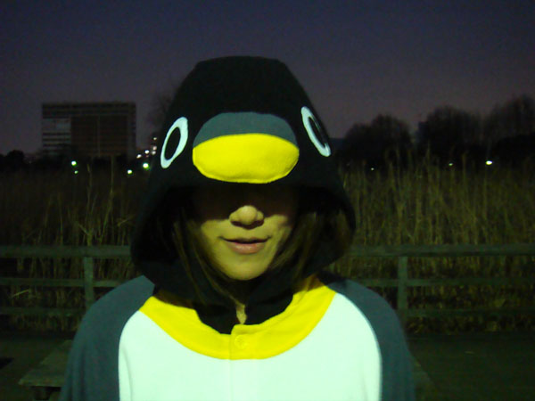 20090224_pengin_making_2
