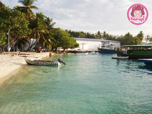 20090709_boat_original