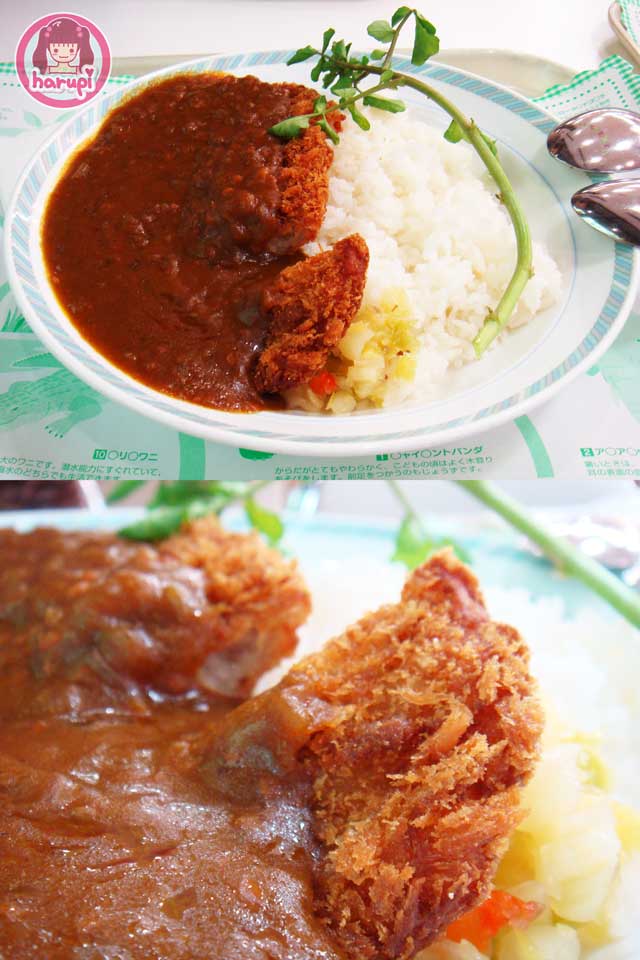 20090805_harupi_uenozoo_curry_katsudon