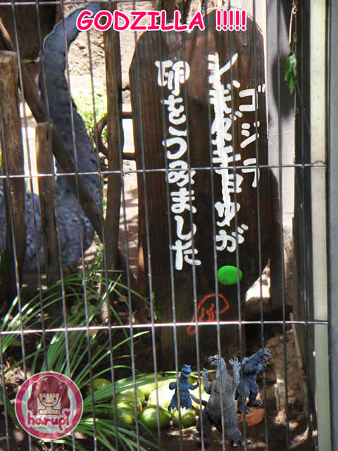 20090805_harupi_uenozoo_godzilla_eggs