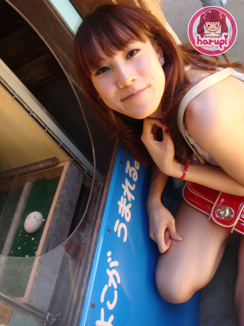 20090805_harupi_uenozoo_hatching_eggs