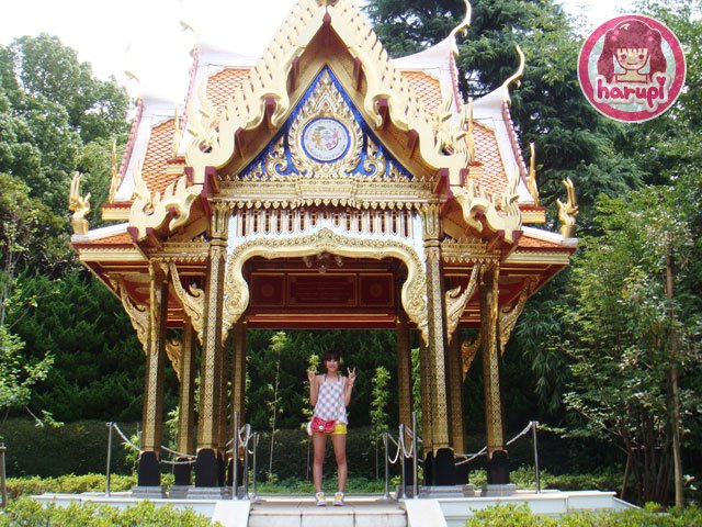 20090805_harupi_uenozoo_thai