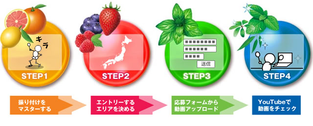 20091012_fits_application_steps