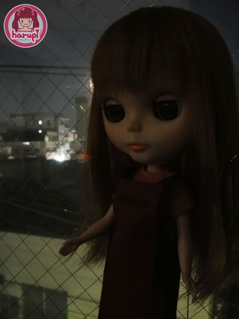 20091113_harupi_blythe_exmor_R