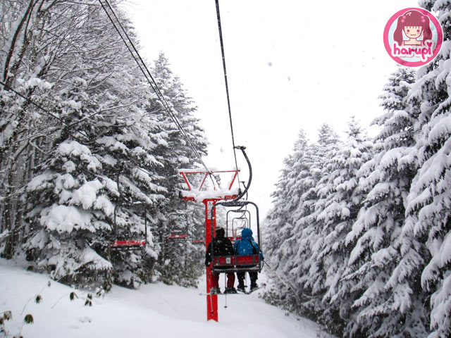 20100106_family_lift