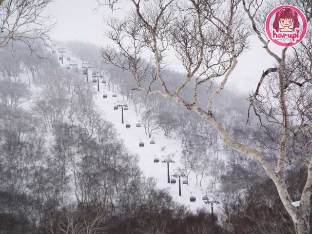 20100106_hanazono_lift_2_view_3