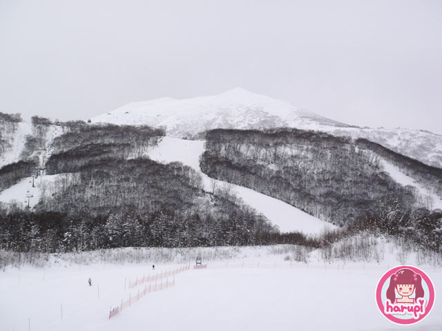 20100107_hanazono_ski