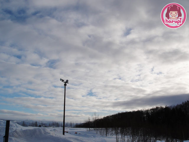 20100108_morning_1