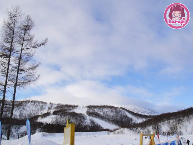 20100108_morning_3