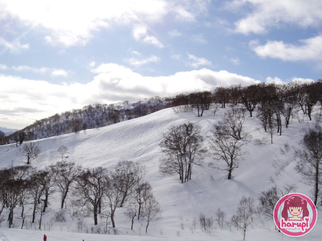 20100111_blue_sky_view_from_lift1