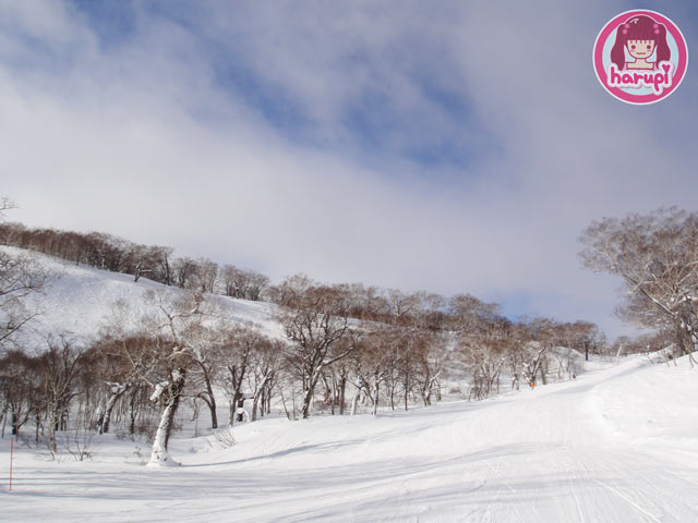 20100111_silver_dream