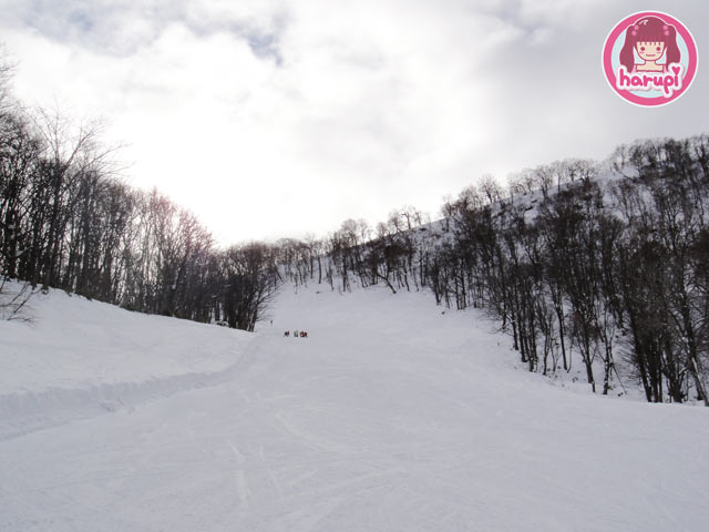 20100111_silver_dream_curve
