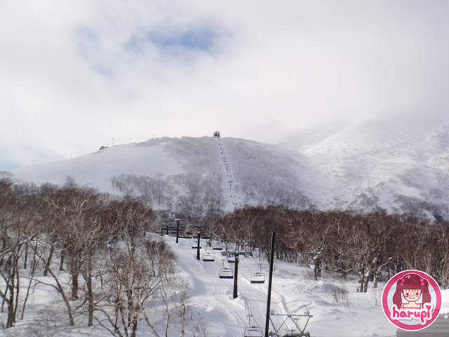 20100111_view_from_lift1