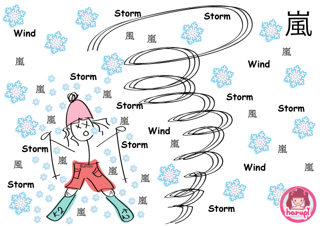 20100112_catch_in_a_storm