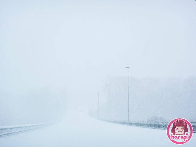 20100112_snowstorm