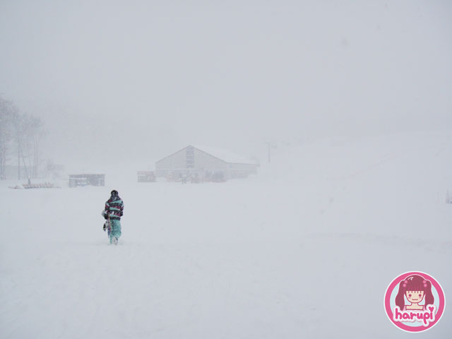 20100115_morning_white_out