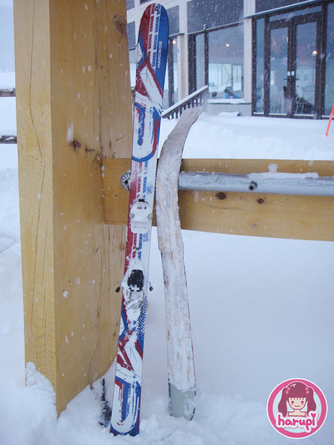 20100115_ski_dead
