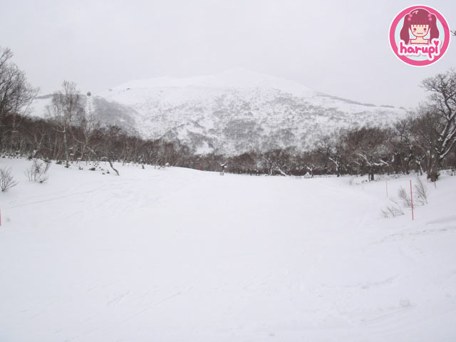 20100201_hanazono_lift_2_view_5