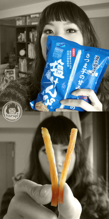 20100601-shio-kenpi.jpg