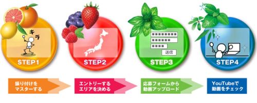 20091012_fits_application_steps