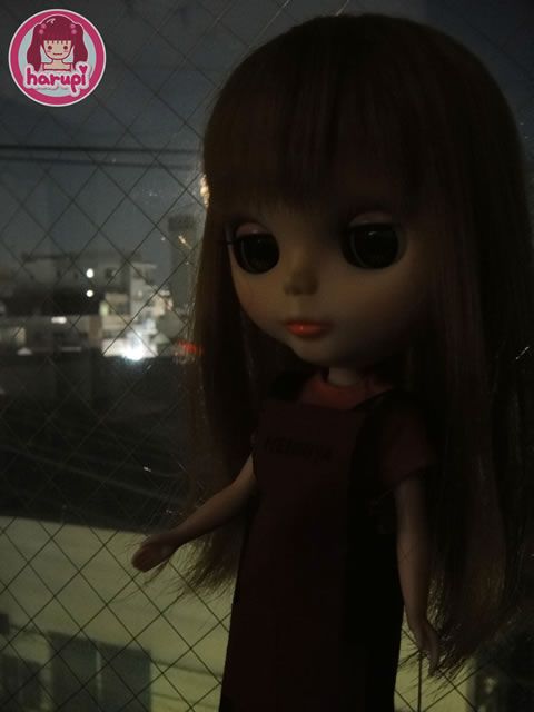 20091113_harupi_blythe_exmor_R