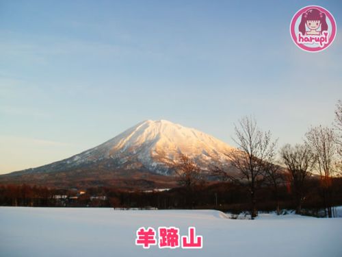 20091214_yotei_mountain