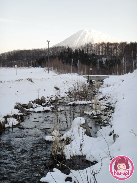 20091216_niseko_nature