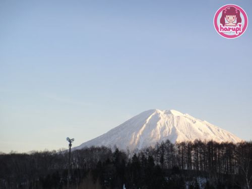 20091216_niseko_yotei