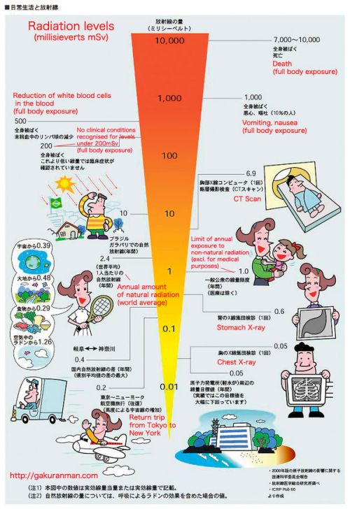 Fukushima radiation levels 