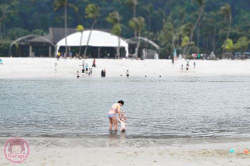 Sentosa man-made ocean