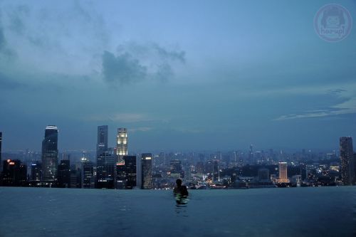 Marina Bay Sands hotel -night view at Skypool