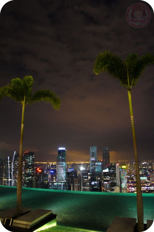 Marina Bay Sands - night sky park, sky pool