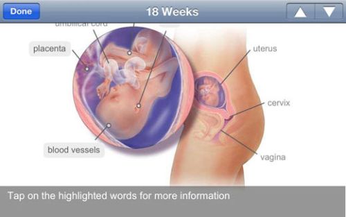 BabyCenter app Image