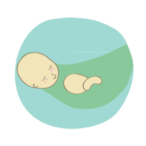 Prenatal check-up illustration 17 weeks 1