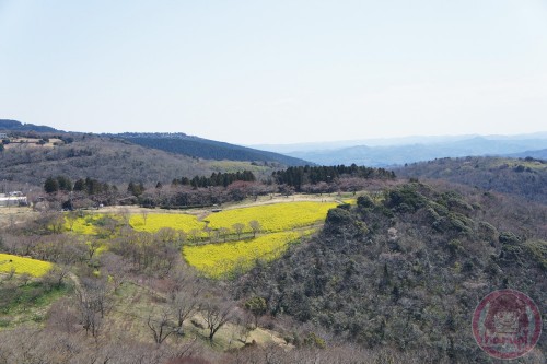 View from Mother Farm 2