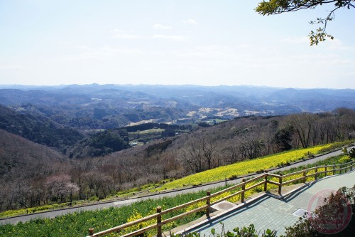 View from Mother Farm 3