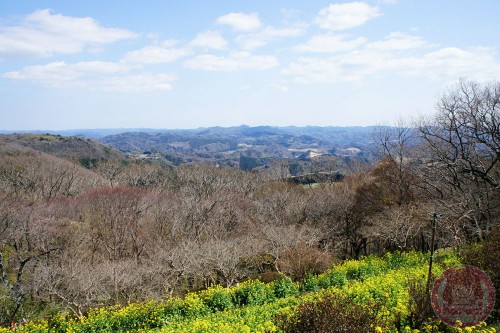 View from Mother Farm 1