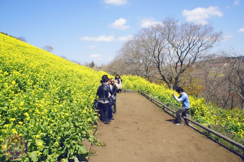 Taking photos for other people at Mother Farm