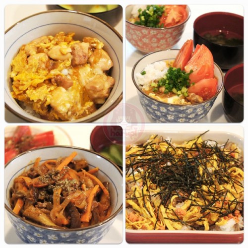 Japanese-style rice bowl (Donburi,どんぶり)