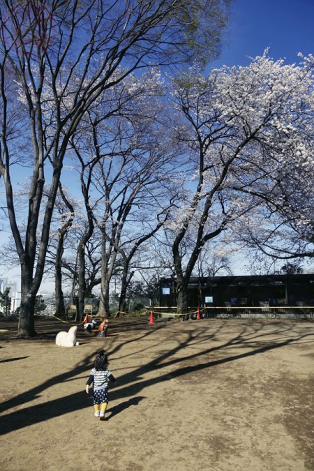 Yumemigasaki Zoo Park 夢見ヶ崎動物公園