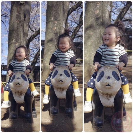 Riding on a panda at Yumemigasaki Zoo Park 夢見ヶ崎動物公園でパンダ乗り
