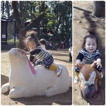 Riding on a rabbit and a squirrel at Yumemigasaki Zoo Park 夢見ヶ崎動物公園のうさぎとりす
