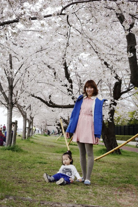 Full-bloomed sakura along Tamagawa riverside 多摩川の河原の満開の桜