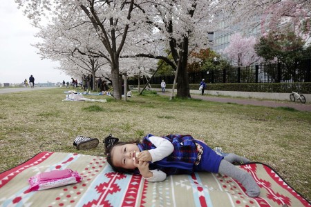 Lunch picnic at Tamagawa riverside 多摩川の河原でお花見