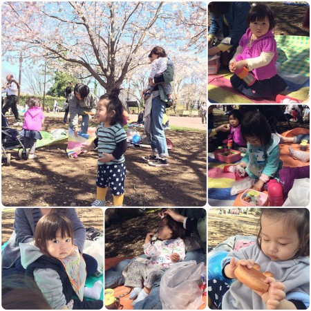 Picnic at Yumemigasaki Zoo Park 夢見ヶ崎動物公園でお花見ピックニック