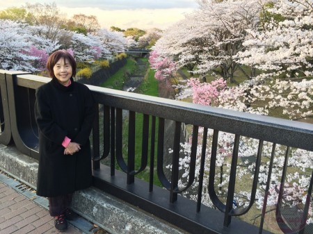 Mom with sakura at Showa Kinen Park