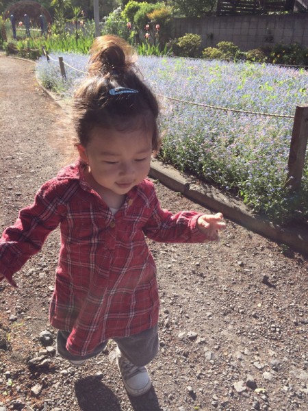 Yuto running at the flower garden